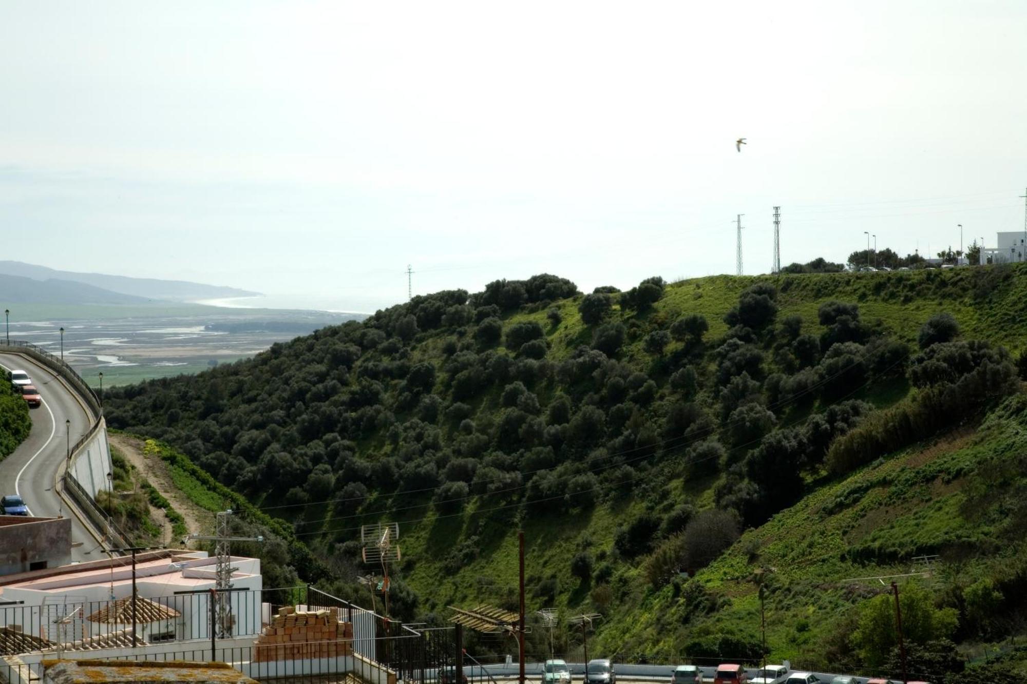 Apartamentos Reysan Vejer de la Frontera Kültér fotó